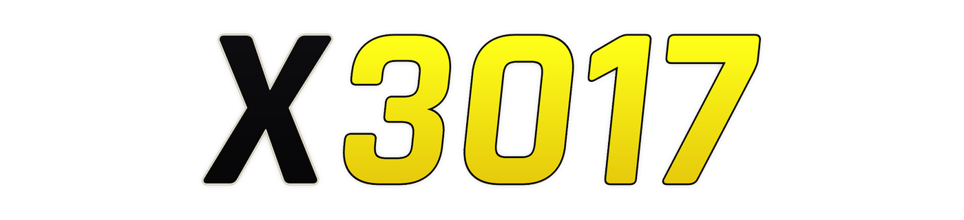 x3017